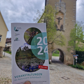 Foto: Matthias Glück