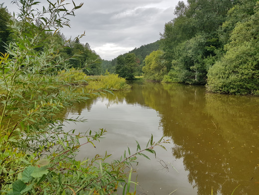 Blick auf den Brückenweiher
