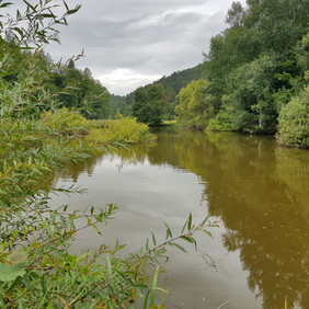 Der Brückenweiher Blick auf den Brückenweiher