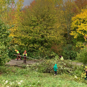 Der Schnitt kommt auf große Haufen. Foto: Stefanie Knorpp