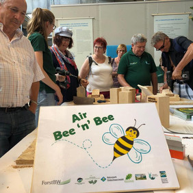 Air Bee´n´Bee © Mathias Allgäuer