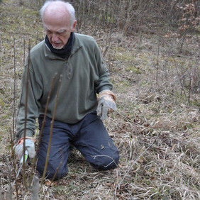 Foto einer Person, die auf dem Boden kniet und in der rechten Hand eine große Heckenschere hält. Die Wiese drum herum ist dem Winter entsprechend braun.