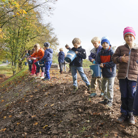 Dieser Abhang soll in den kommenden Jahren schön bunt blühen! (Foto: Naturpark Schönbuch)