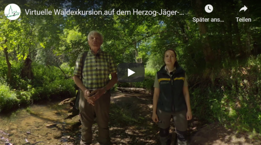 360°-Tour Premiumwanderweg "Herzog-Jäger-Pfad"