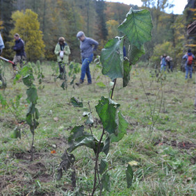 Foto: Christine Bengel-Fritz Foto: Christine Bengel-Fritz