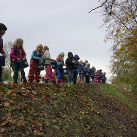 Hier wächst schon ein bisschen Gras. Hoffentlich kommen unsere Samen dagegen an. (Foto: Naturpark Schönbuch)