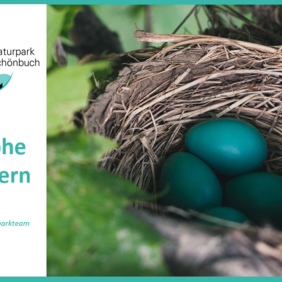 Frohe Ostern © Naturpark Schönbuch Frohe Ostern © Naturpark Schönbuch