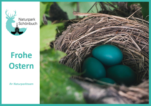 Frohe Ostern © Naturpark Schönbuch