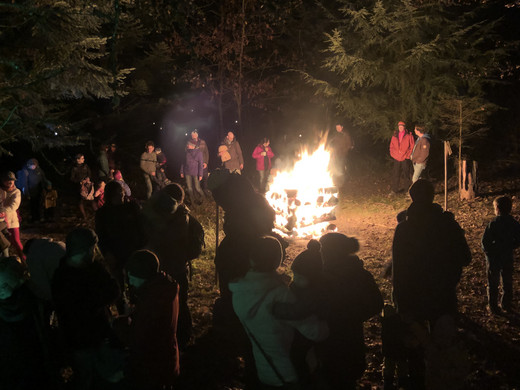 Weihnachtsstimmung im Winterwald 2018
