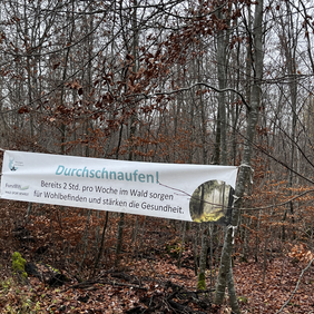 Wälder tun uns gut, ob wir nun spazieren gehen, radfahren oder joggen Banner mit der Aufschrift "Bereits 2h pro Woche im Wald sorgen für Wohlbefinden und stärken die Gesundheit."