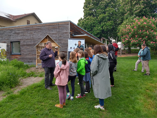 Projektmitarbeiter Rainer Wolf erklärt Schülern der Ludwig-Krapf-Schule spannendes zu unseren heimischen Insekten.