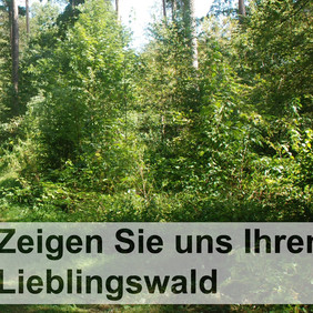 Bürgerbeteiligung in der forstlichen Planung © FVA, ForstBW Bürgerbeteiligung in der forstlichen Planung © FVA, ForstBW