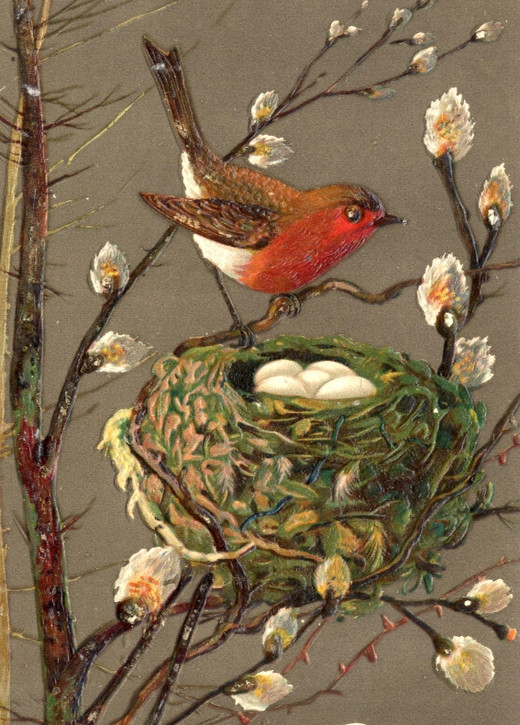 Gemälde eines Rotkehlchens am Nest