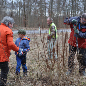 Foto von vier Personen, darunter ein Kind, die geschäftig über eine Wiese laufen. Die Person rechts im Bild hat einen Spaten in der Hand und schaut auf den Boden. In der Bildmitte steht ein kleiner Strauch ohne Laub.