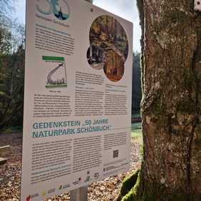 Die Informationstafel am Kleindenkmal „50 Jahre Naturpark Schönbuch“ am Walddorfer Brückle im Naturschutzgebiet Schaichtal (Foto: Matthias Glück, Naturpark Schönbuch).