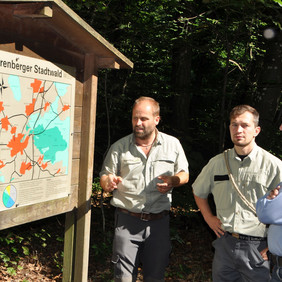 Der Herrenberger Stadtwald und seine beiden Revierleiter Winfried Seitz und Andreas Hank mit Qualitäts-Scout Herr Clauditz