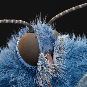 © Oliver Meckes © Oliver Meckes