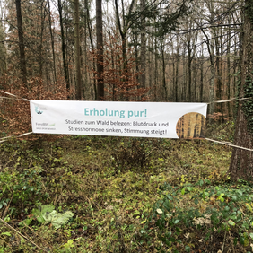 Ein Aufenthalt im Wald tut auch ohne sportliche Aktivitäten gut. Banner mit der Aufschrift "Studien zum Wald belegen: Blutdruck und Stresshormone sinken, Stimmung steigt!"