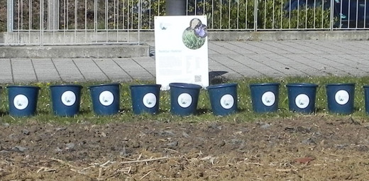 Reihe blauer Eimer mit NP-Logo vor einem Nektar-Hektar-Schild