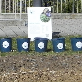 Die Eimerchen müssen bis in den September im Schrank warten Reihe blauer Eimer mit NP-Logo vor einem Nektar-Hektar-Schild