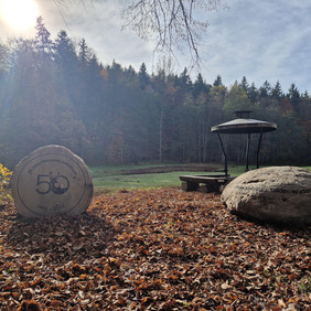 Zwei Mühlstein-Rohlinge bilden das Kleindenkmal „50 Jahre Naturpark Schönbuch“ am Walddorfer Brückle im Naturschutzgebiet Schaichtal (Foto: Matthias Glück, Naturpark Schönbuch).