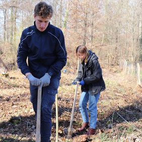 Pflanzlöcher stechen