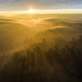 Mit dem Veranstaltungsprogramm kann man stets neue Perspektiven und Eindrücke finden. Foto: Philipp Paucke Wald von oben im Morgennebel