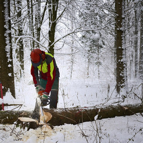 Ein Forstmitarbeiter während der Arbeit im Winter. Foto: Tomschi