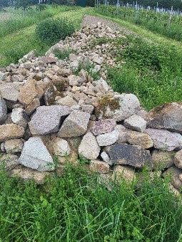 länglicher Steinhaufen in einer Wiese